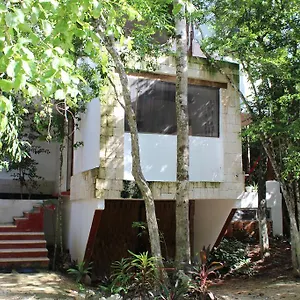 Casa Del Arbol At Duendes , Akumal Mexico